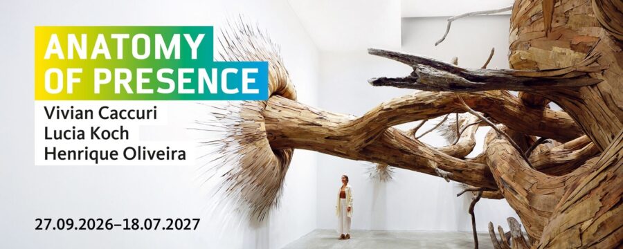 Slider Option ANATOMY Schauwerk Main Slider 2
