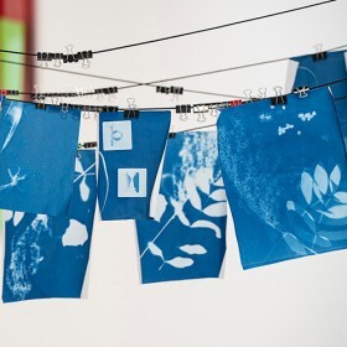Cyanotypie Schauwerk Exhibition List Image
